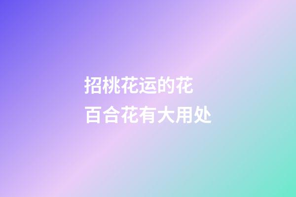 招桃花运的花 百合花有大用处